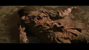 尸骨无存在线观看,探寻神秘失踪之谜