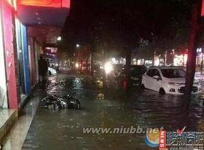 爆料福州暴雨视频最新,城市瞬间变“水城”