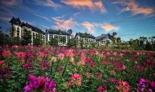 清远爆料新闻,揭秘神秘事件背后的真相 第3张 清远爆料新闻,揭秘神秘事件背后的真相 第3张