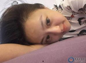 何嘉文最新爆料新闻,揭秘娱乐圈惊人内幕